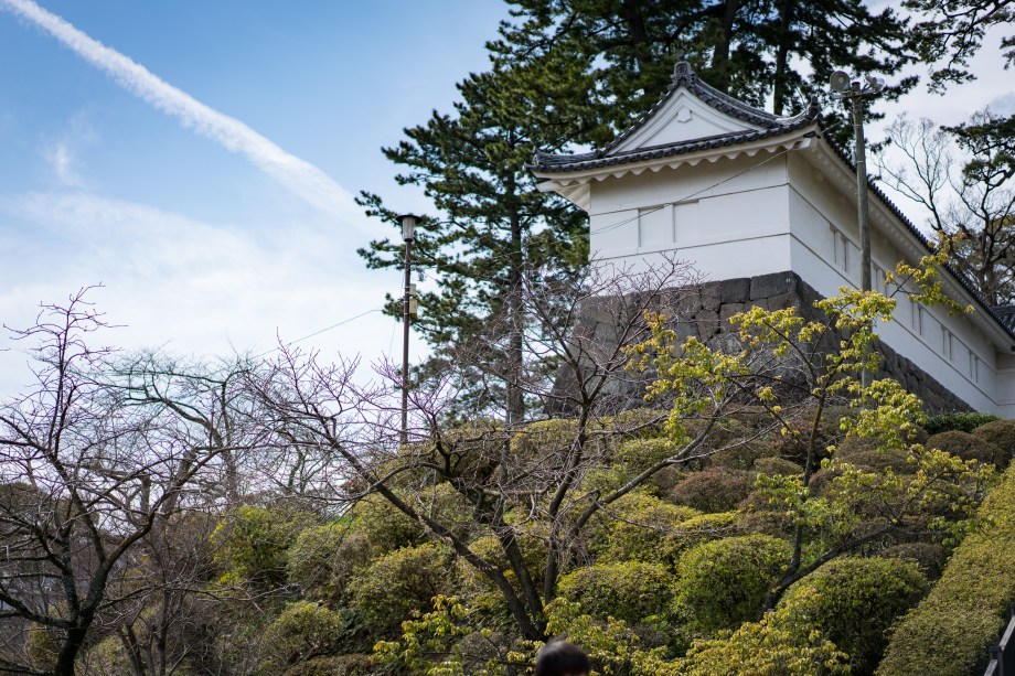 odawaru castle.jpg