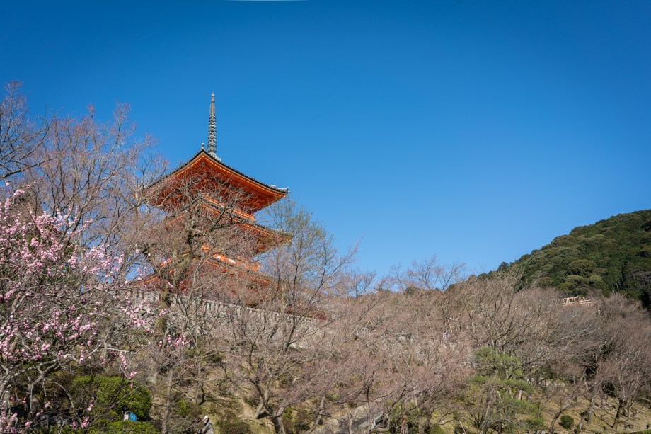 yasaka tower